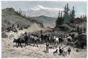 Alpy: džodel neboli odjíždějící stáda (krávy, kozy) směrem na pastviny. Ilustrace Emile Bayard ke knize Les Montagnes d