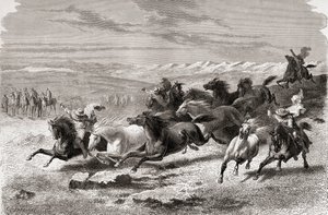Argentinští gauchos zakulacení divokých koní, ilustrace z 