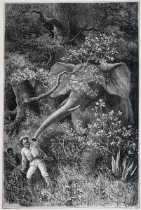 Livingstone překvapený slonem v "Le Tour du Monde" od Emile Antoine Bayard