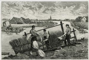 Rez lnu (macerace usnadňující oddělení kůry od stonku) v Lys (řeka severně od Francie a Belgie). Rytina Emile Clause pro ilustraci příběhu „“ La Belgique“ od Camille Lemonnier (1844 -1913), spisovatel a výtvarný kritik. od Emile Claus