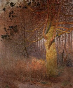  od Emile Claus