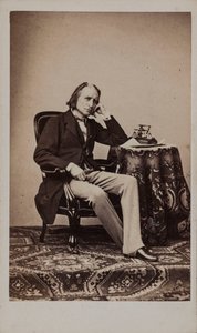 Portrét skladatele Franze Liszta 1811-1886.