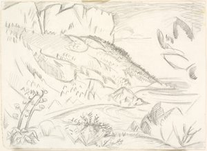 Čepice Canaille ved Cassis. od Emile Othon Friesz