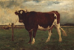 Studie krávy, 1870-90