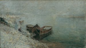 Rybářské lodě na břehu Dunaje