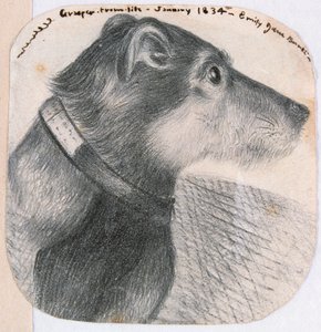 Grasper, ze života od Emily Bronte