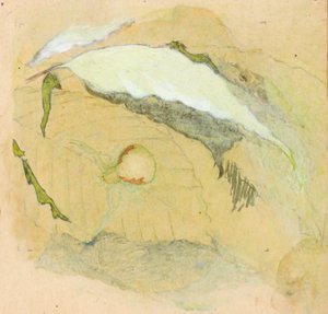Porcelán-bílý pavouk, konec 19.-začátek 20. století.