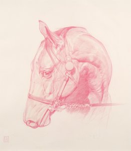 Portrét hlavy, 2010 (červená křída na papíře)