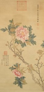 Pfingstrose, Qing-Dynastie