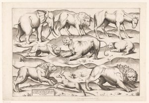 Negen wilde dieren Dieren naar antieke muurschilderingen (series title) Speculum Romanae Magnificentiae (series title)   1365874   cs       czech Successfully Translated  Original: Achilles Taught by Centaur Chiron How to Play Lyre Translat: Achilles Taugh od Enea Vico (attributed to)