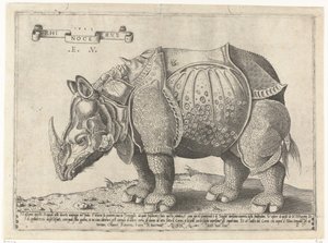 Neushoorn Rhinocerus (název na objektu)