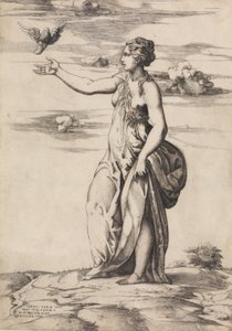 Proserpina mění Aesculapia v sovu, 1548.