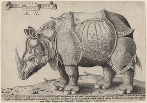 Nosorožec od Enea Vico after Albrecht Dürer