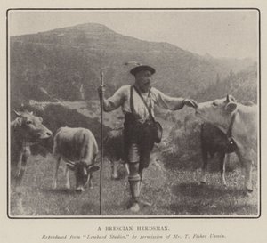 Brescijský pastevec