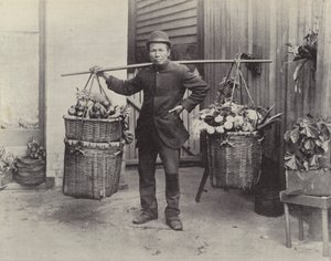 Čínský rostlinný Hawker od English Photographer