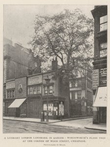 Literární londýnská památka v nebezpečí, platan Wordsworths na rohu Wood Street, Cheapside od English Photographer