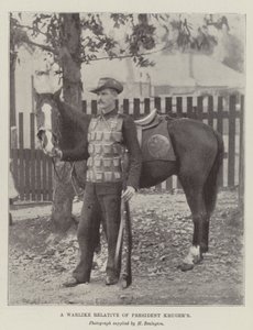 Válečný příbuzný prezidenta Krugerse od English Photographer