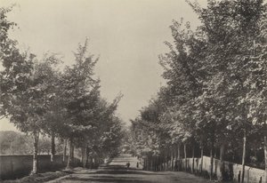 Aldeburgh, Westfields Avenue (černobílá fotografie) od English Photographer