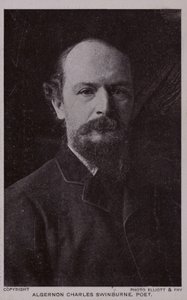 Algernon Charles Swinburne (1837-1909), anglický básník a dramatik od English Photographer