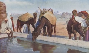 Arabští přivandrovalci (barevné foto) od English Photographer