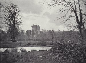 Hrad Blarney od English Photographer