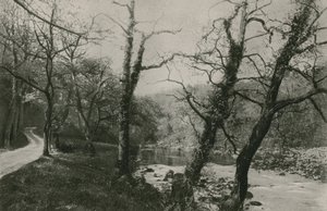 Bolton Woods od English Photographer