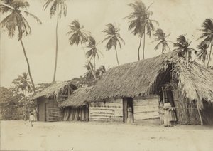 Bridgetown, Barbados, chatrče od English Photographer