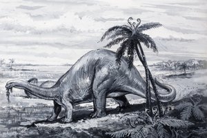 Brontosaurus od English Photographer