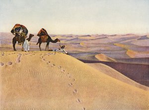 Velbloudi na Sahaře (barevné foto) od English Photographer