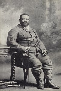 Cetshwayo kaMpande, král národa Zuluů od English Photographer