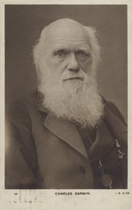 Charles Darwin (1809-1882), anglický přírodovědec od English Photographer