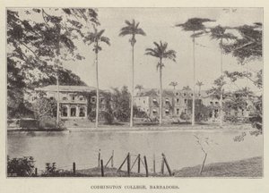 Codrington College, Barbados od English Photographer