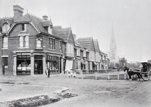Roh Chase Side a Chase Green Avenue, cca 1890 černobílá fotografie) od English Photographer