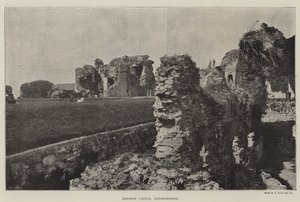 Hrad Denbigh, Denbighshire