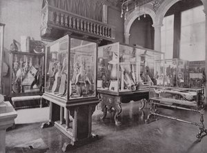 Donaldsonovo muzeum, Royal College of Music od English Photographer