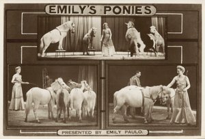 Emily Paulo a její výkonní trénovaní poníci (č/b foto) od English Photographer