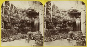 Fernery a vodopád v Brighton Aquarium od English Photographer