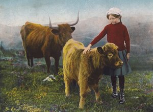 Dívka hladící tele (kolorovaná fotografie) od English Photographer