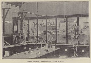 Grant Museum, Merchiston Castle School (rytina) od English Photographer