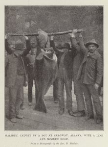 Halibut, chycený chlapcem ve Skagway na Aljašce, s vlascem a dřevěným hákem od English Photographer
