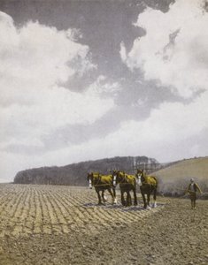 Harrowing in the Spring (č/b foto) od English Photographer