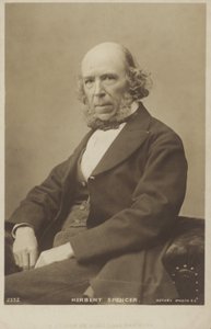 Herbert Spencer (1820-1903), anglický filozof, politický teoretik, biolog a sociolog od English Photographer