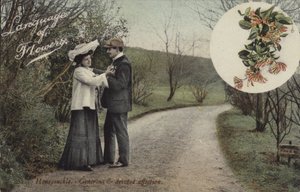 Zimolez - Velkorysá a oddaná náklonnost od English Photographer