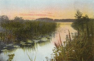 Hoveton Broad od English Photographer