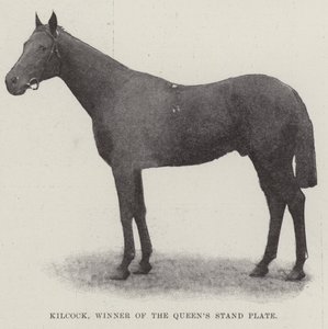 Kilcock, vítěz Queens Stand Plate od English Photographer