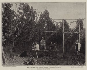 Lady Hop-Pickers od English Photographer