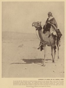 Lawrence z Arábie na tomto slavném velbloudovi (čb fotografie) od English Photographer
