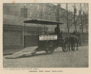 Londýnská nová koňská ambulance od English Photographer