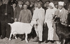 Mahátma Gándhí přijíždí do Londýna v Anglii v roce 1931 se svou učednicí Madeleine Slade a jeho dvěma kozami, z Příběhu dvaceti pěti let, vydaného v roce 1935. od English Photographer