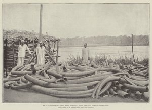 Pan HM Stanleys Emin Pasha Relief Expedition, Tippoo Tibs Ivory Store ve Stanley Falls od English Photographer